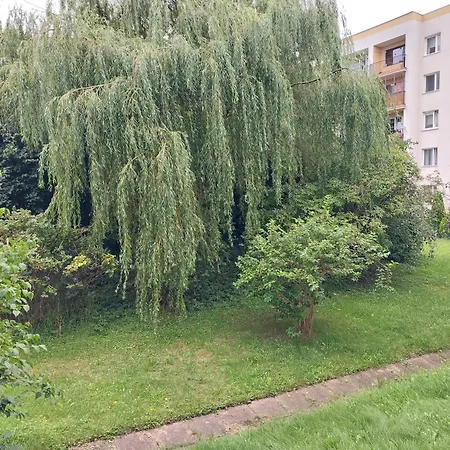 Apartament Willow Gdynia