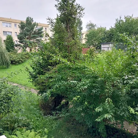 Willow Apartament